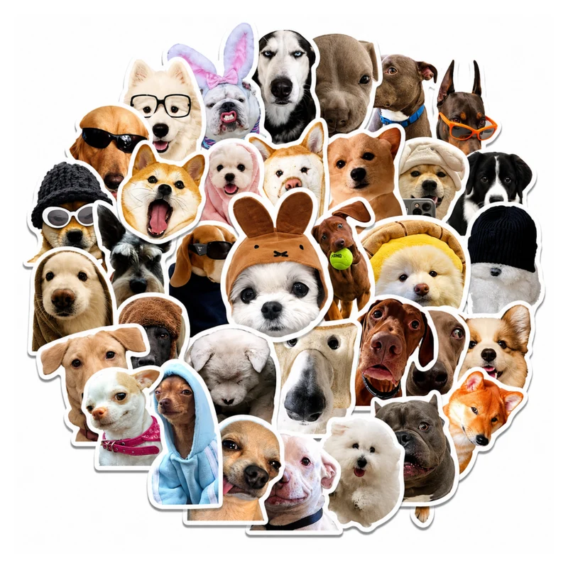 Miomu Set de Stickers, Memes de Perritos Graciosos