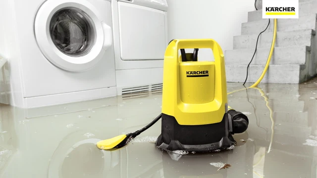 SP 22.000 Dirt _(Sottocategoria: Pompe sommergibili)_ Kärcher