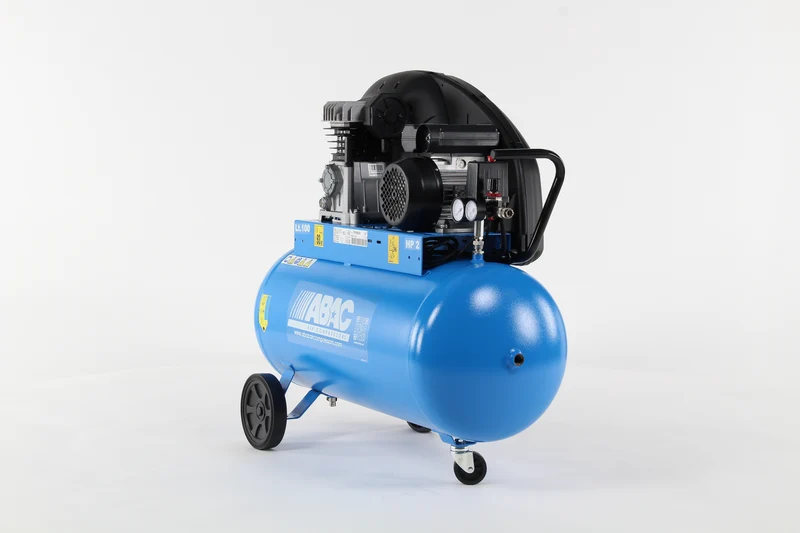 A29 100 CM2 ISPM E1 Abac